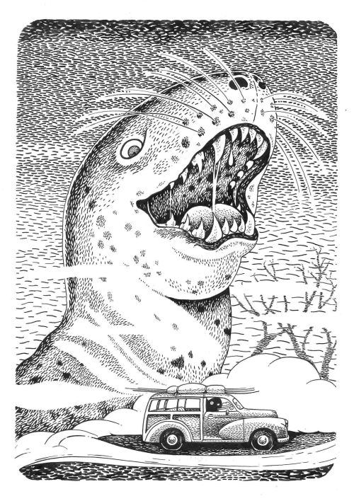 Page 38. Leopard Seal! Pen and ink drawing from Ramshackle Blooms.